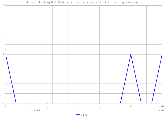 AP&BP Holding B.V. (Netherlands) Page visits 2024 