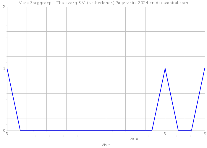 Vitea Zorggroep - Thuiszorg B.V. (Netherlands) Page visits 2024 