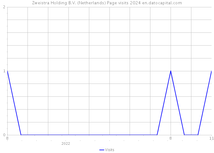 Zweistra Holding B.V. (Netherlands) Page visits 2024 