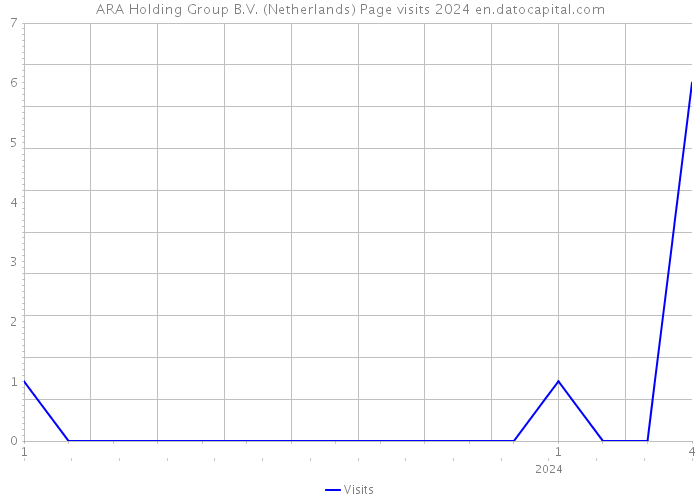 ARA Holding Group B.V. (Netherlands) Page visits 2024 