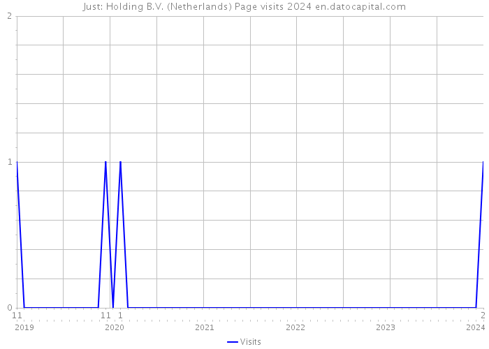 Just: Holding B.V. (Netherlands) Page visits 2024 
