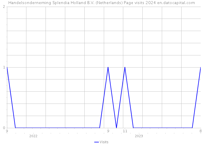 Handelsonderneming Splendia Holland B.V. (Netherlands) Page visits 2024 