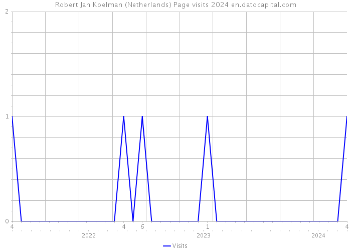 Robert Jan Koelman (Netherlands) Page visits 2024 