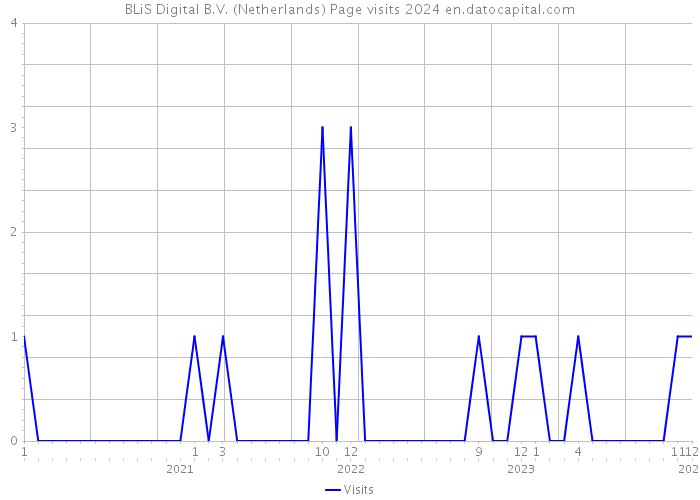 BLiS Digital B.V. (Netherlands) Page visits 2024 