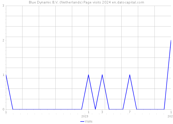Blue Dynamic B.V. (Netherlands) Page visits 2024 