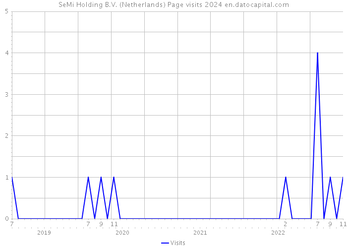 SeMi Holding B.V. (Netherlands) Page visits 2024 