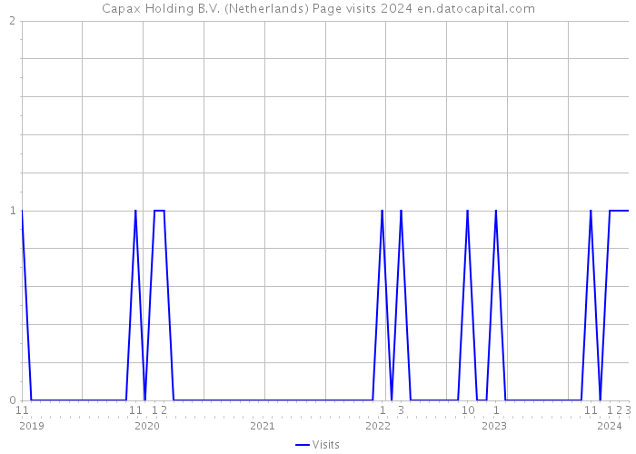 Capax Holding B.V. (Netherlands) Page visits 2024 