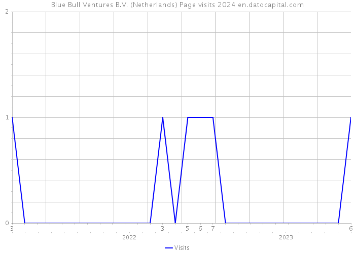 Blue Bull Ventures B.V. (Netherlands) Page visits 2024 
