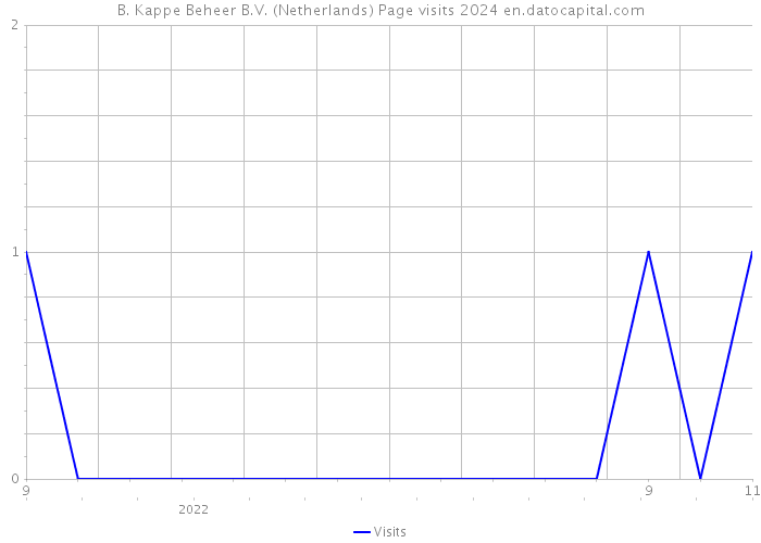 B. Kappe Beheer B.V. (Netherlands) Page visits 2024 