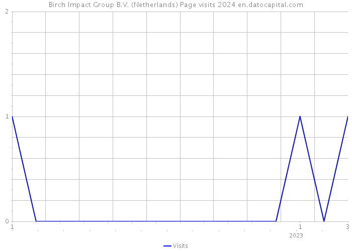Birch Impact Group B.V. (Netherlands) Page visits 2024 
