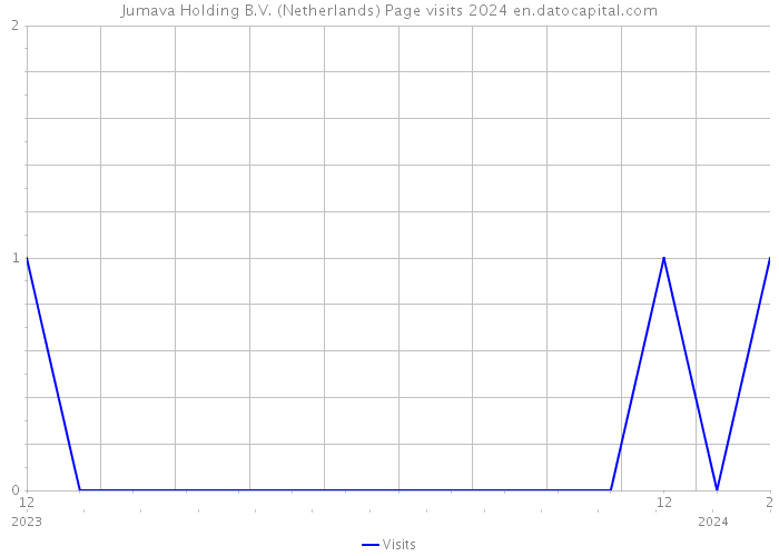 Jumava Holding B.V. (Netherlands) Page visits 2024 