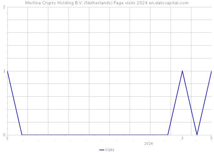 Merlina Crypto Holding B.V. (Netherlands) Page visits 2024 