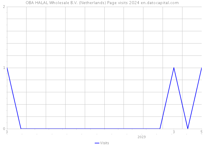 OBA HALAL Wholesale B.V. (Netherlands) Page visits 2024 