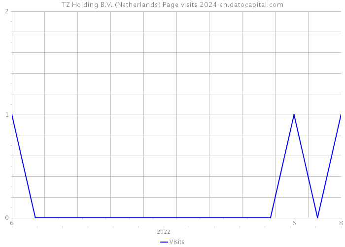 TZ Holding B.V. (Netherlands) Page visits 2024 