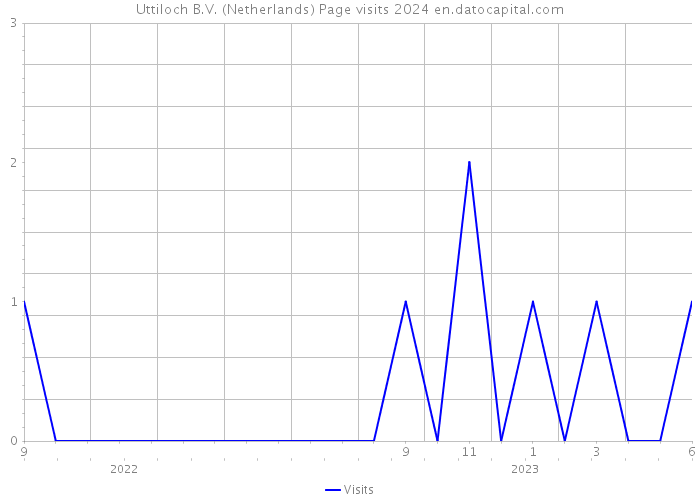 Uttiloch B.V. (Netherlands) Page visits 2024 