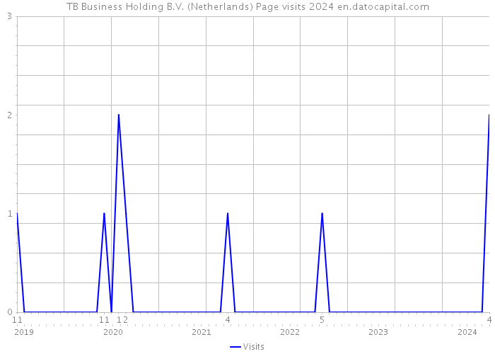 TB Business Holding B.V. (Netherlands) Page visits 2024 