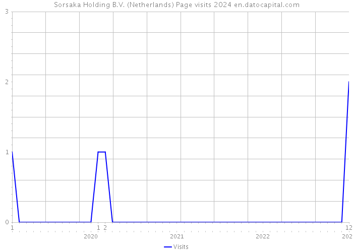 Sorsaka Holding B.V. (Netherlands) Page visits 2024 