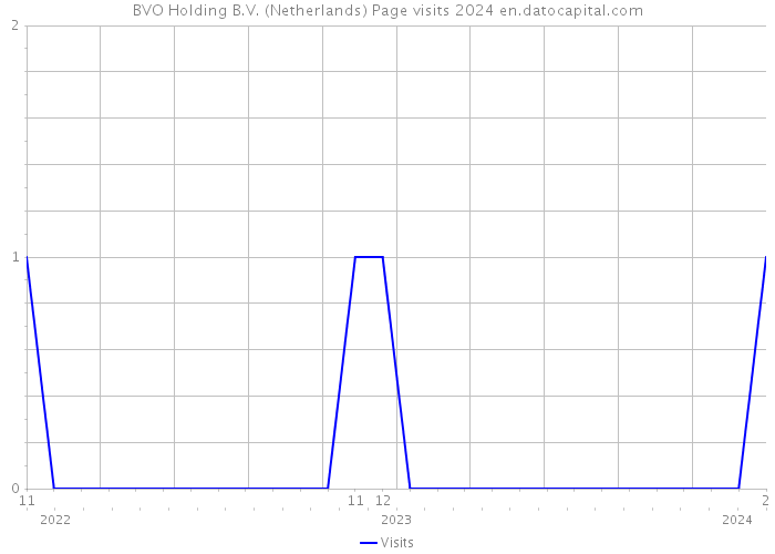 BVO Holding B.V. (Netherlands) Page visits 2024 