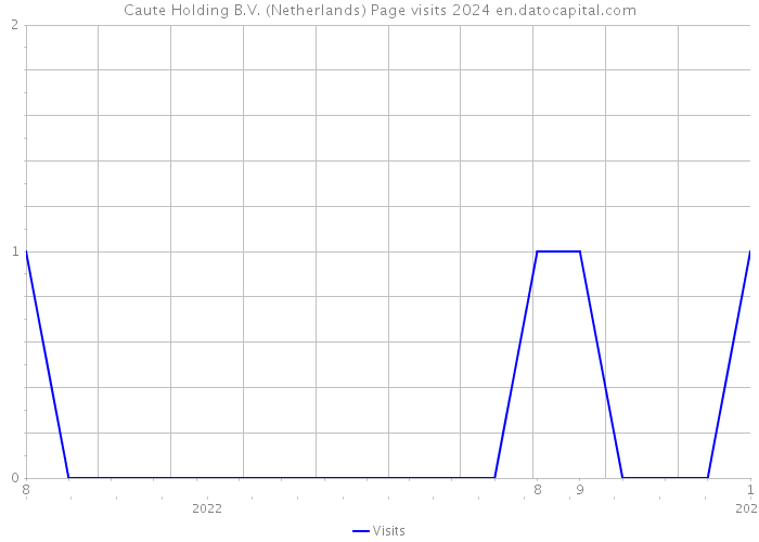 Caute Holding B.V. (Netherlands) Page visits 2024 