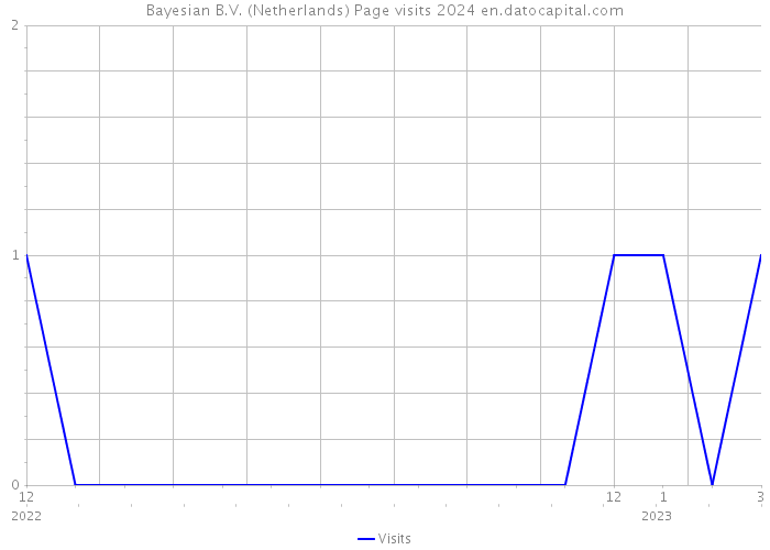Bayesian B.V. (Netherlands) Page visits 2024 