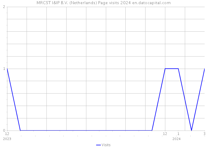 MRCST I&IP B.V. (Netherlands) Page visits 2024 