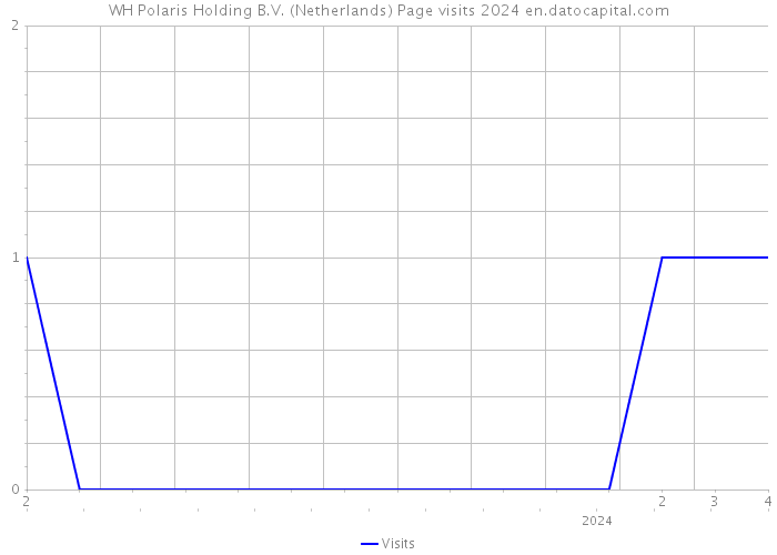 WH Polaris Holding B.V. (Netherlands) Page visits 2024 