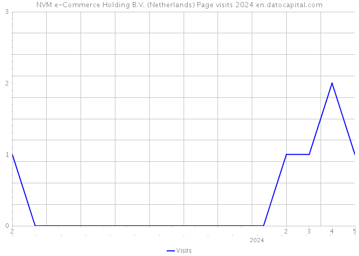 NVM e-Commerce Holding B.V. (Netherlands) Page visits 2024 