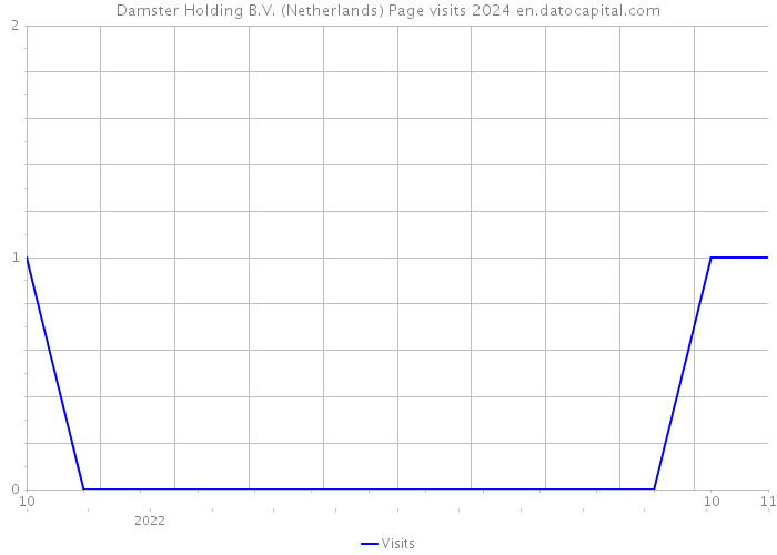 Damster Holding B.V. (Netherlands) Page visits 2024 