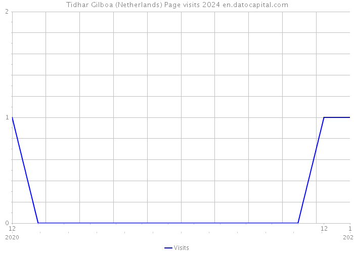 Tidhar Gilboa (Netherlands) Page visits 2024 