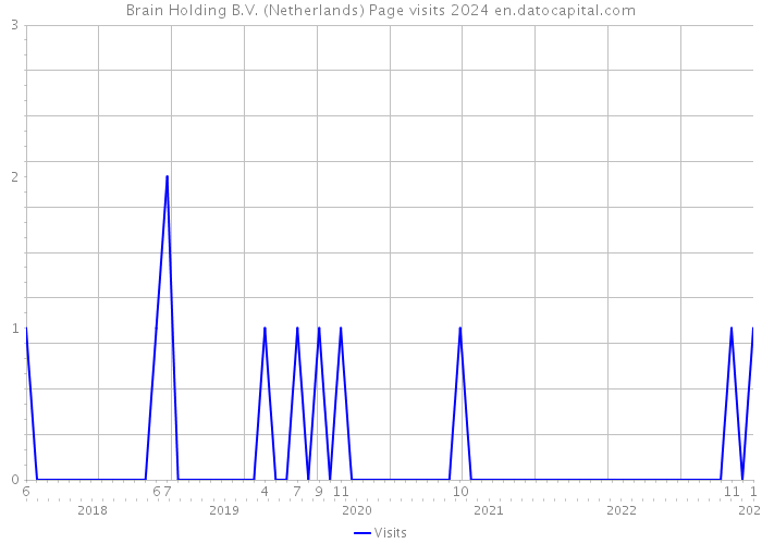 Brain Holding B.V. (Netherlands) Page visits 2024 