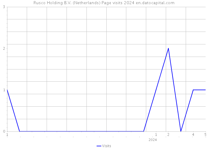 Rusco Holding B.V. (Netherlands) Page visits 2024 