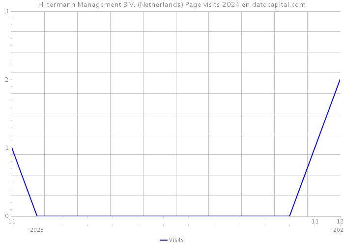 Hiltermann Management B.V. (Netherlands) Page visits 2024 