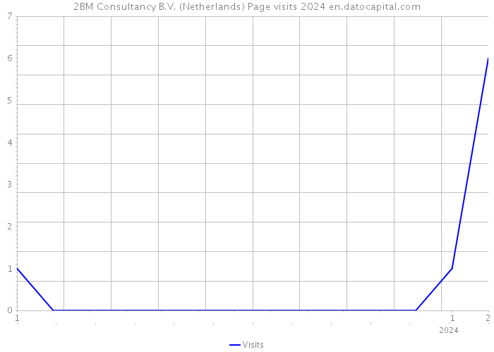 2BM Consultancy B.V. (Netherlands) Page visits 2024 