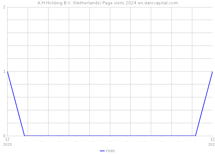 A.H Holding B.V. (Netherlands) Page visits 2024 