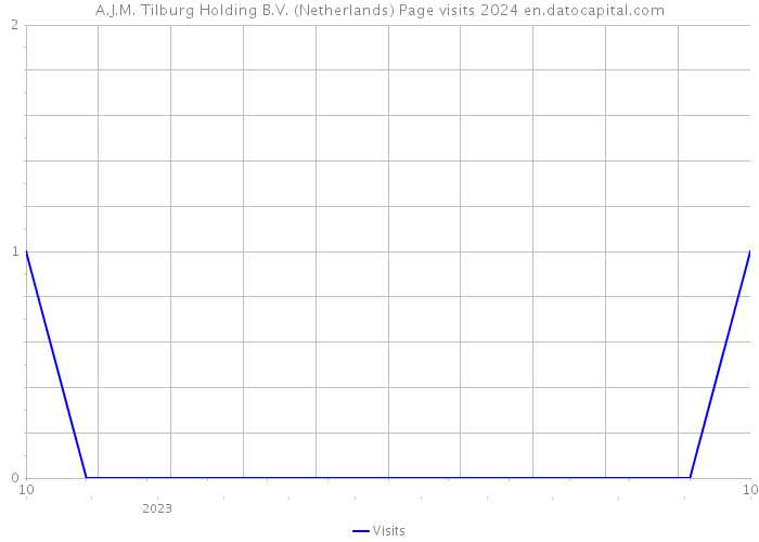 A.J.M. Tilburg Holding B.V. (Netherlands) Page visits 2024 