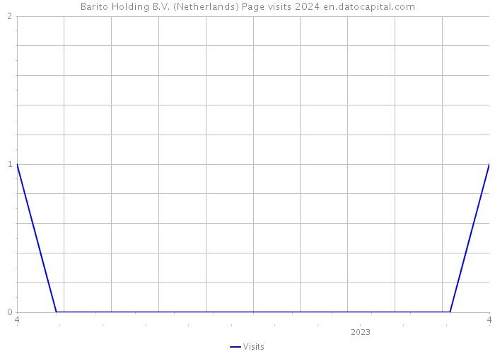 Barito Holding B.V. (Netherlands) Page visits 2024 