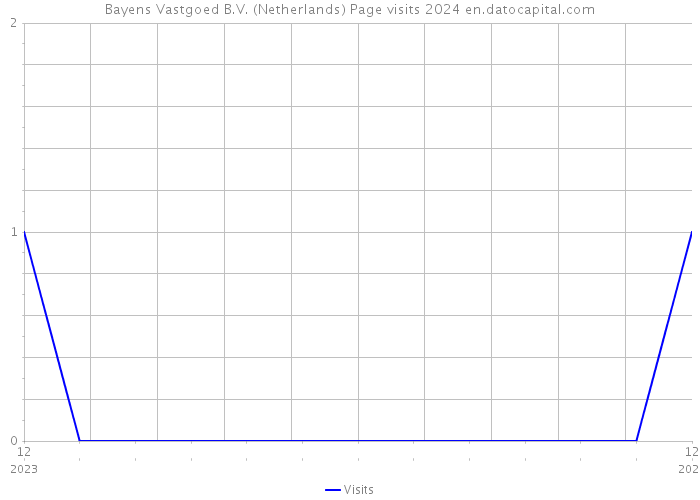 Bayens Vastgoed B.V. (Netherlands) Page visits 2024 