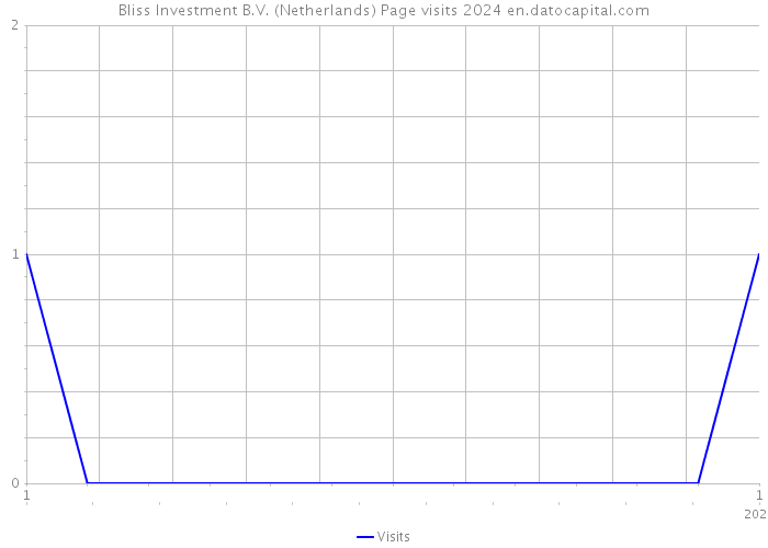 Bliss Investment B.V. (Netherlands) Page visits 2024 