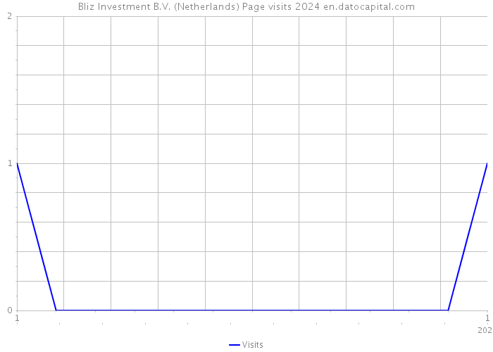 Bliz Investment B.V. (Netherlands) Page visits 2024 