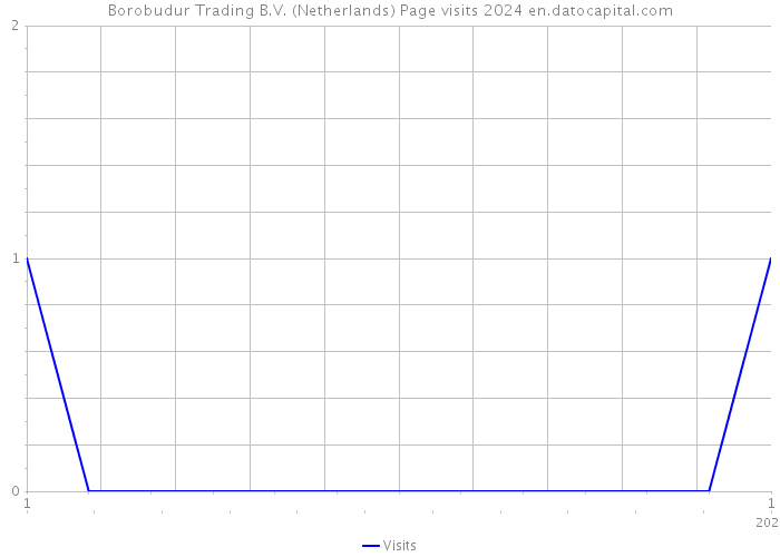 Borobudur Trading B.V. (Netherlands) Page visits 2024 