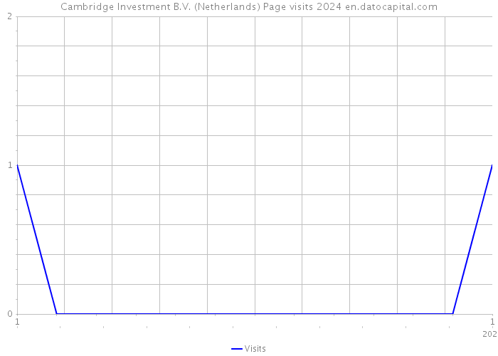 Cambridge Investment B.V. (Netherlands) Page visits 2024 