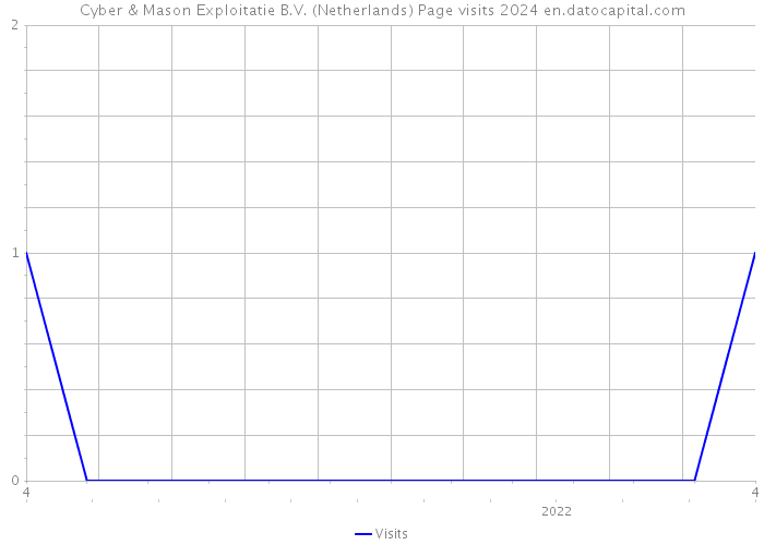 Cyber & Mason Exploitatie B.V. (Netherlands) Page visits 2024 