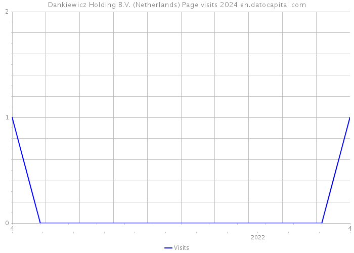 Dankiewicz Holding B.V. (Netherlands) Page visits 2024 