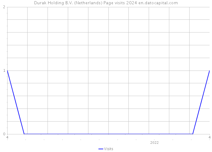 Durak Holding B.V. (Netherlands) Page visits 2024 