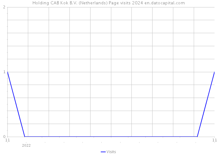Holding CAB Kok B.V. (Netherlands) Page visits 2024 