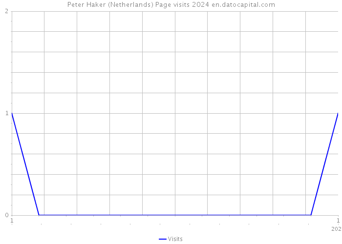 Peter Haker (Netherlands) Page visits 2024 