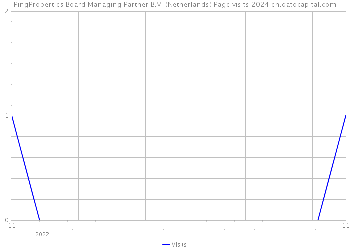 PingProperties Board Managing Partner B.V. (Netherlands) Page visits 2024 