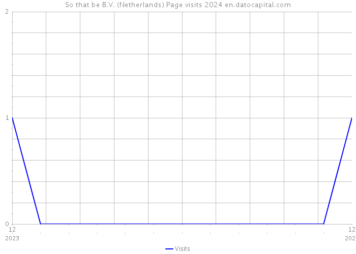 So that be B.V. (Netherlands) Page visits 2024 