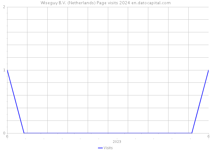 Wiseguy B.V. (Netherlands) Page visits 2024 