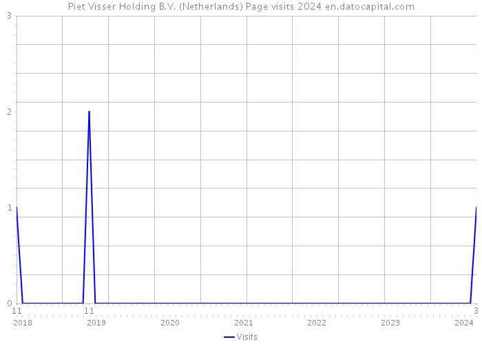 Piet Visser Holding B.V. (Netherlands) Page visits 2024 